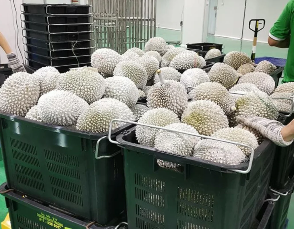 liquid nitrogen used for rapid food freezing malaysia